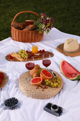 Delicious food and wine served for summer picnic on plaid outdoors
