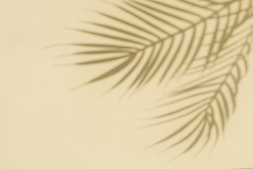 Obraz premium Silhouette and shadow curve of two branches of palm tree from sunlight. Pastel yellow background.