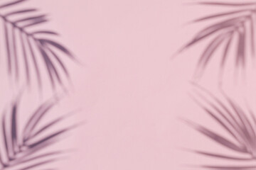 Fototapeta na wymiar The shadow of a palm tree on a pink background. Minimal modern concept.