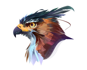 drawn color bright bird of prey hawk portrait on white background - 447921592