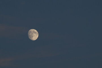 Moon