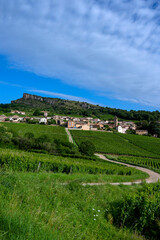 Fototapeta na wymiar Paysage de vignoble en Bourgogne autour du village de Pouilly-Solutré en France dans le département de Saône-et-Loire sous la Roche de Solutré