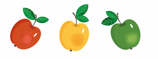 Three colorful apples on white background