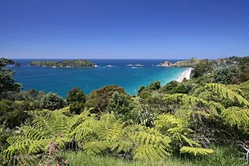 Deurstickers View of the coast of Coromandel Peninsula. Cathedral Cove Recreation Reserve. New Zealand. © Rostislav