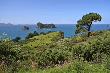 Fotobehang View of the coast of Coromandel Peninsula. Cathedral Cove Recreation Reserve. New Zealand. © Rostislav