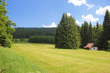 Obraz premium Beautiful summer meadow with little cottage surrounded by trees near Kubova Hut, Czech republic