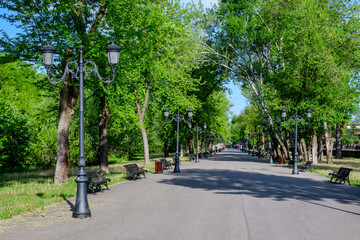 Obraz premium Landscape with old green trees and grey alley in Mogosoaia Park (Parcul Mogosoaia), a weekend attraction close to Bucharest, Romania, in a sunny spring day.