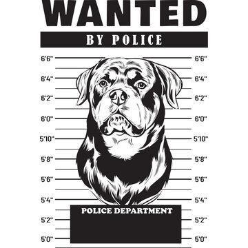 Mugshot of Rottweiler Dog holding banner behind bars
