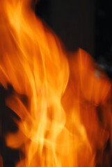 Yellow orange campfire flames on a black background. A fire burns with a bright flame. The flame rises quickly in a wide front. Flames change their size and shape, smearing into a single stream.