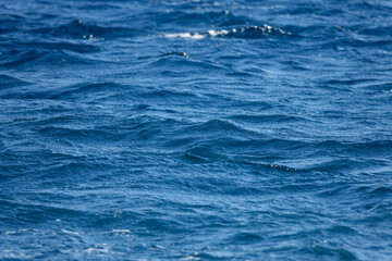 CLOSE UP: Detailed shot of ripple and small waves in the deep blue Adriatic sea.