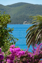 VERTICAL: Lush Mediterranean foliage creates a scenic view of the calm sea.