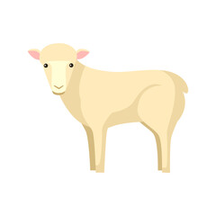 Cute sheep isolated on white background. Funny cartoon character farm white color.