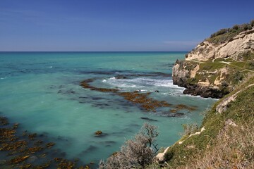 View of Cape Wanbrow coastline and Pacific Ocean. Near Oamaru City. South Island, New Zealand.