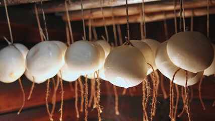 Fresh soft cow cheese balls hanging closeup. Sunny farm on blurred background. Countryside lifestyle. Eco business. Healthy nutrition.