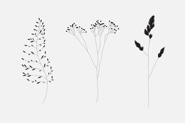 Obraz premium Modern flower leaves set. Thin lines, editable strokes. Vector illustration, EPS 10