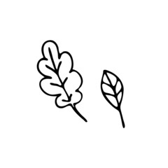 Doodle image of leaves. Hand-drawn image for various designs.