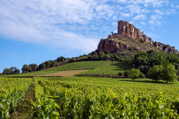 Fototapeta na wymiar La Roche de Solutré dans le vignoble des vins de Bourgogne en Saône-et-Loire en France en été