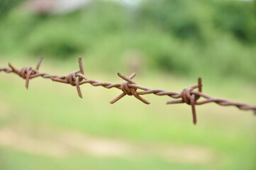 old rusty barbed wire fence, background blurred nature. selective focus