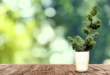 Beautiful bonsai tree in pot on wooden table outdoors. Space for text