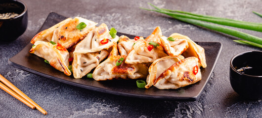 Fried dumplings served with green onions.