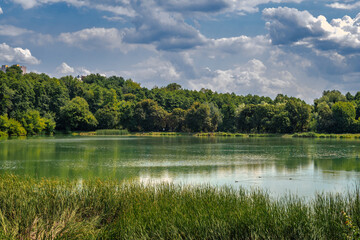 The river with the banks overgrown with forest. Hiking and water tourism. Beautiful nature.
