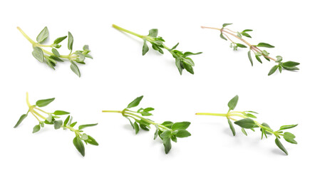 Set with aromatic thyme on white background. Banner design - obrazy, fototapety, plakaty