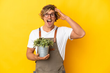 Gardener blonde man holding a plant isolated on yellow background with surprise expression