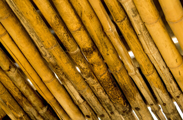 handmade roof made of Brazilian bamboo