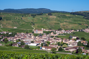 Le village de Fuissé dans le vignoble des vins de Bourgogne en France au printemps