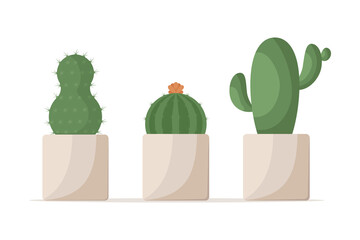 Large green cacti of different shapes in square ceramic flower pots. Prickly flowering cactus. Plant element of design interior for home, office, cafe. Cartoon vector illustration	
