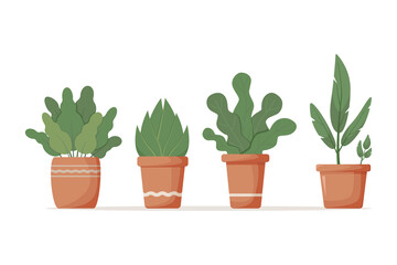 Obraz premium Indoor green flowers in clay pots, isolated on white background. Cute curly leaves of houseplants. Beautiful home flowers for home, office, cafe interior decoration. Cartoon vector illustration