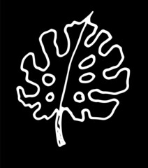 vector icon of the leaf of the monster plant . isolated tropical leaf element isolated white outline with holes in the monstera leaf, hand-drawn in the style of a doodle on a black background for a de