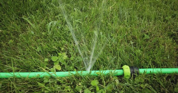 Leak in garden hose. Water leaking from watering pipe in backyard dolly in shot.