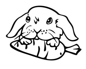 Vector illustration of cute little bunny with carrot in his paws. Design for coloring book.