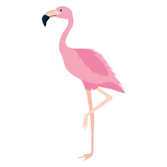 cute flamingo children's print tropical design, flamingo on white background.