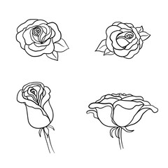 Sketch Rose Flower Set. Pencil sketch flowers with leaves on stem. Graphic emblems.