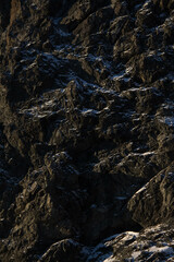 Pure Texture