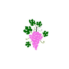 grape with leaf vector illustration