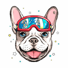 Cute cartoon french bulldog with ski goggles . Dog portrait in hand drawn style. Stylish image for printing on any surface