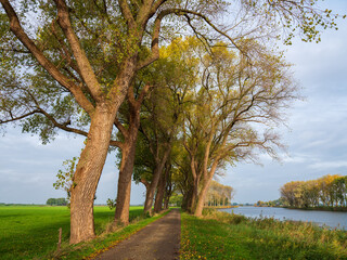 Obraz premium Kampereiland, Overijssel Province, The Netherlands