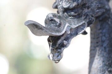 神社の龍の形をした手水舎