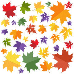 Seamless autumn pattern with colorful maple leaves. Fall forest flat style vector illustration. Seasonal design for print, wallpaper, card, banner etc.