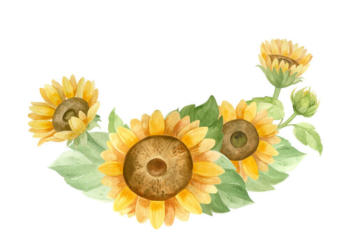 watercolor sunflowers yellow green leaves floral clip art preview