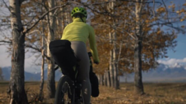The woman travel on mixed terrain cycle touring with bikepacking. The traveler journey with bicycle bags. Sportswear in green black colors. The trip in magical autumn forest, arch, alley, avenue.