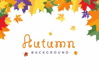 Fototapeta na wymiar Autumn Frame with colorful blowing maple leaves isolated on white background. Flat style vector illustration. Fall border background design template for card, banner, poster, sale, leaflet, flyer etc.
