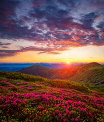 Magical summer scene with flowering hills in the evening.