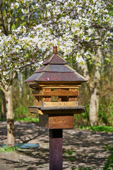 Japanese-style bird feeder in the spring park.