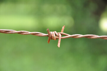 old rusty barbed wire fence background blurred nature. selective focus