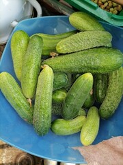 cucumbers in a basket