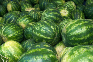 fresh watermelons at the market